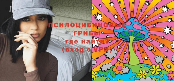 метадон Дмитриев