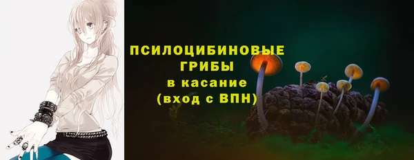 mdpv Дмитров
