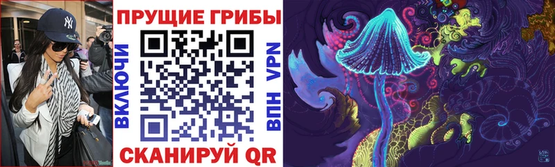 купить закладку  Новоалтайск  ссылка на мегу ССЫЛКА  Псилоцибиновые грибы Magic Shrooms 