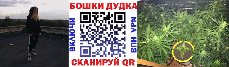 кракен маркетплейс  Новоалтайск  Бошки Шишки план 